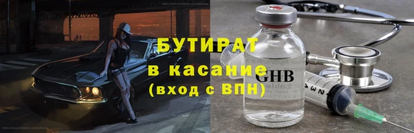 прущие грибы Богданович