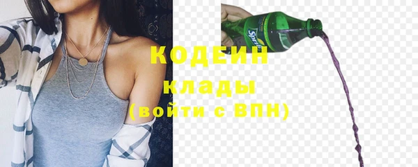 молекула духа Белокуриха