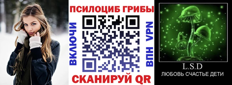 продажа наркотиков  Малоярославец  hydra ТОР  Псилоцибиновые грибы ЛСД 